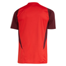 Maillot Internacional Entraînement 24/25 Supporter