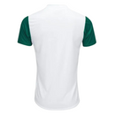 Maillot Palmeiras II 25/26 Supporter