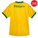 Maillot Palmeiras III 25/26 Joueur