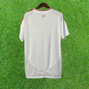 Maillot Internacional II 25/26 Supporter