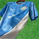 Maillot Palmeiras Gardien I 25/26 Supporter