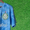Maillot Palmeiras Gardien I 25/26 Supporter